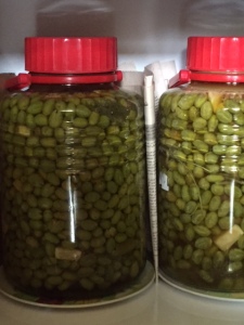 olives brewing